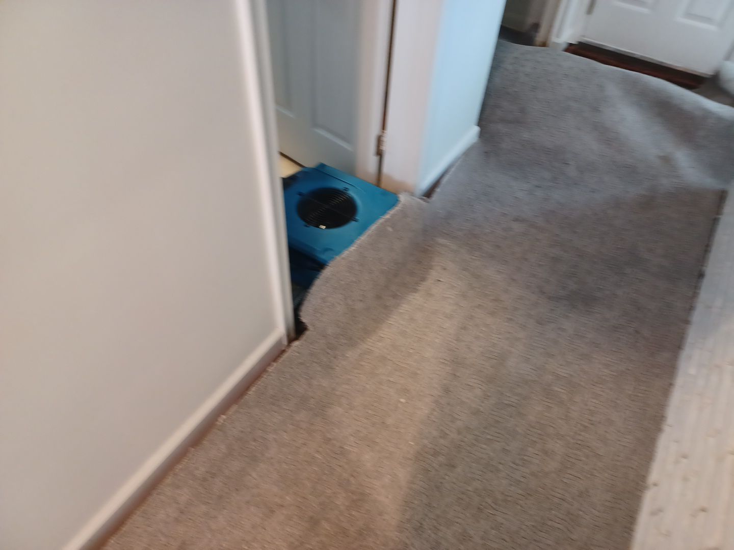 Project in Royal Oak by EzDry Water Mitigation & Property Restoration