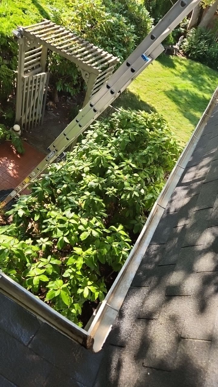 Gutter cleanup by Willamette Outdoor Wash LLC