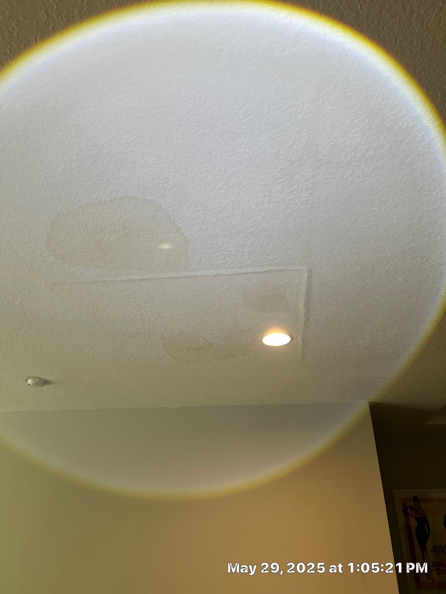 Water Damage Repair In Riverview by Ampm Restoration Services