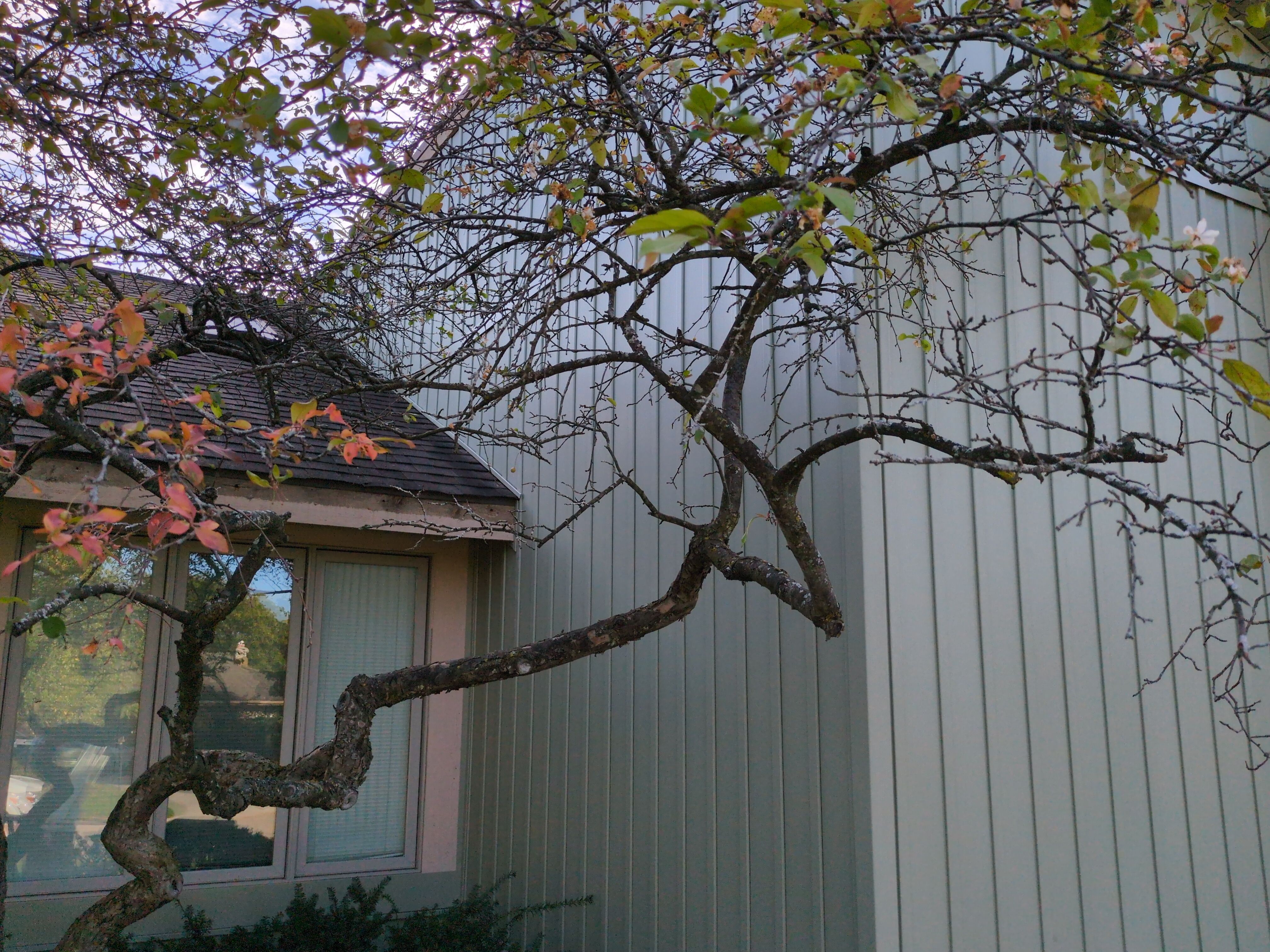 Siding Replacement using Alside 7" B&B by 180 Contractors