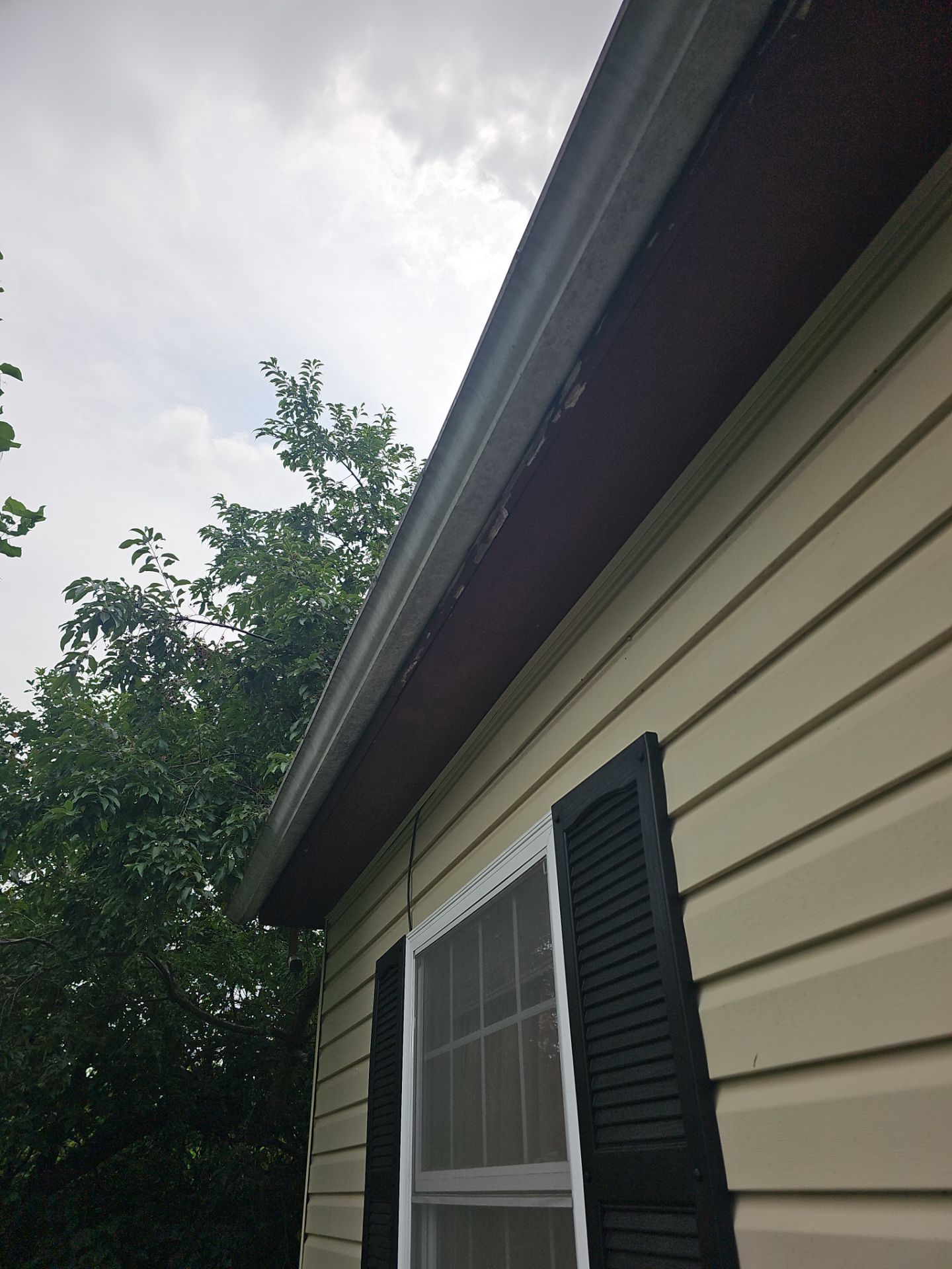 Roof Replacement by Winchester Roofing