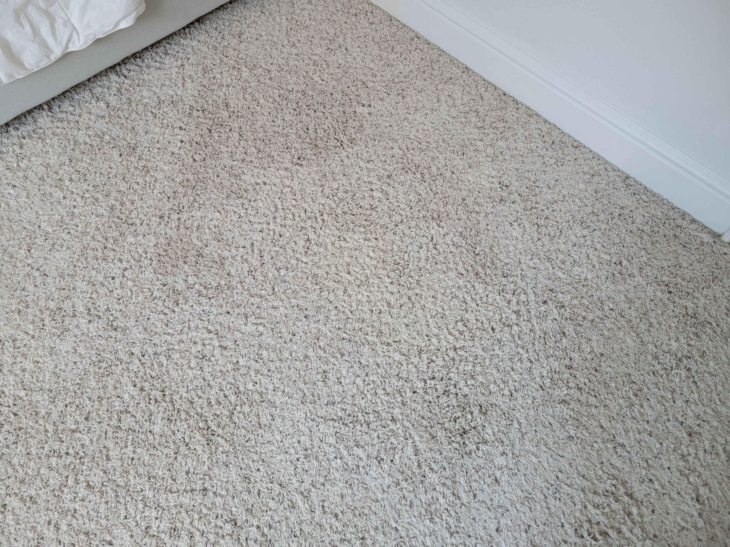 Carpet Re-stretching and Stain Removal by Ardent Carpet Restore LLC