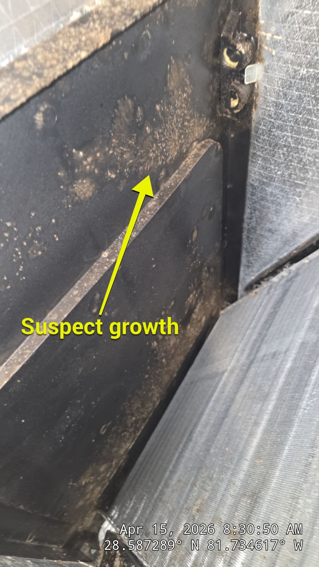 Air Duct Bath Fan Cleaning in Clermont by Hygienic Air, Inc