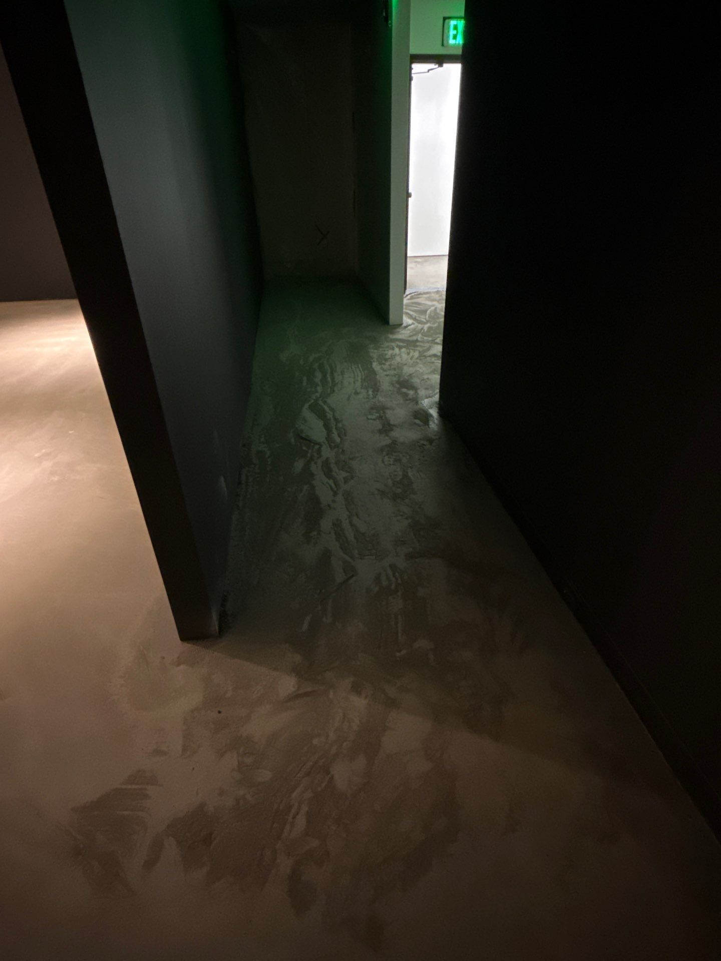 Grind off 20 layers of Paint Project in Pittsburgh by Floors in a Day, Inc