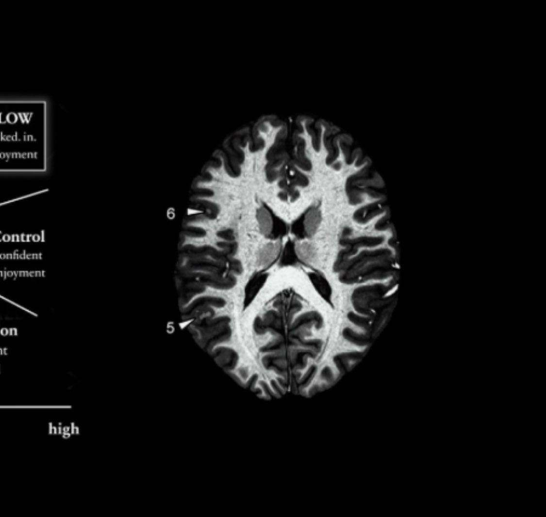 Project in McKinney, TX by NIMBUS GENERAL CONTRACTORS, LLC