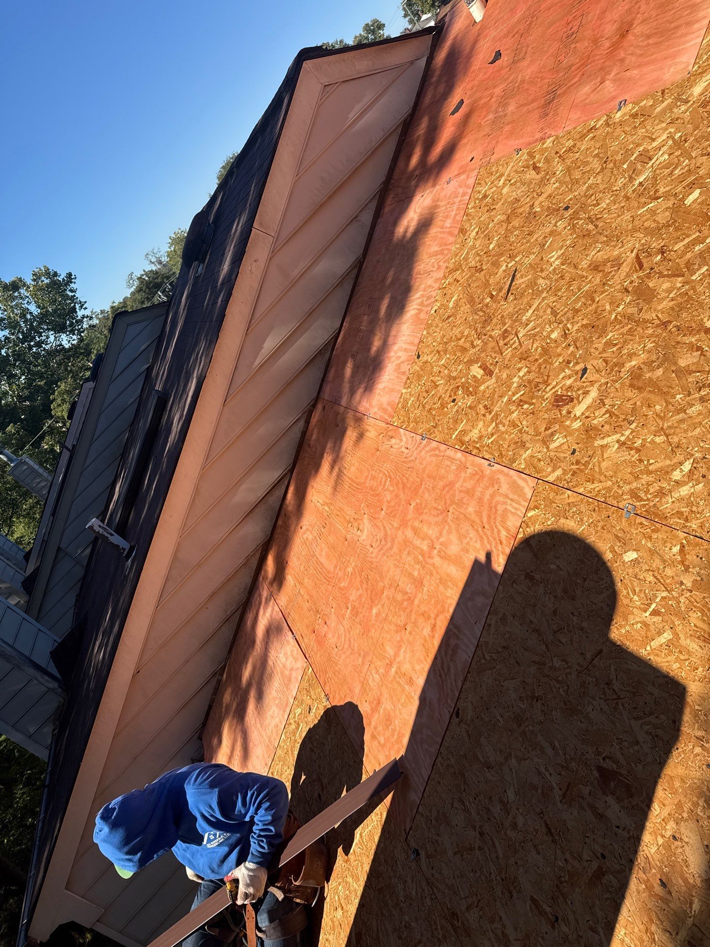 Alexandria : Residential Roof Replacement with CertainTeed Landmark Pro in Max Def Heather Blend  by RM Banning, Inc.