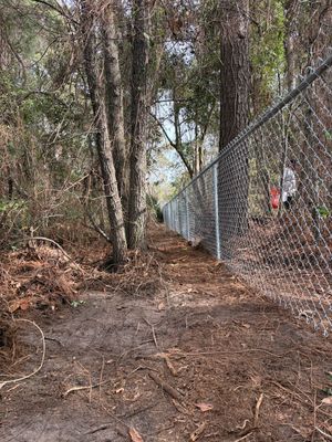 Freshly Installed Chain Link Fence