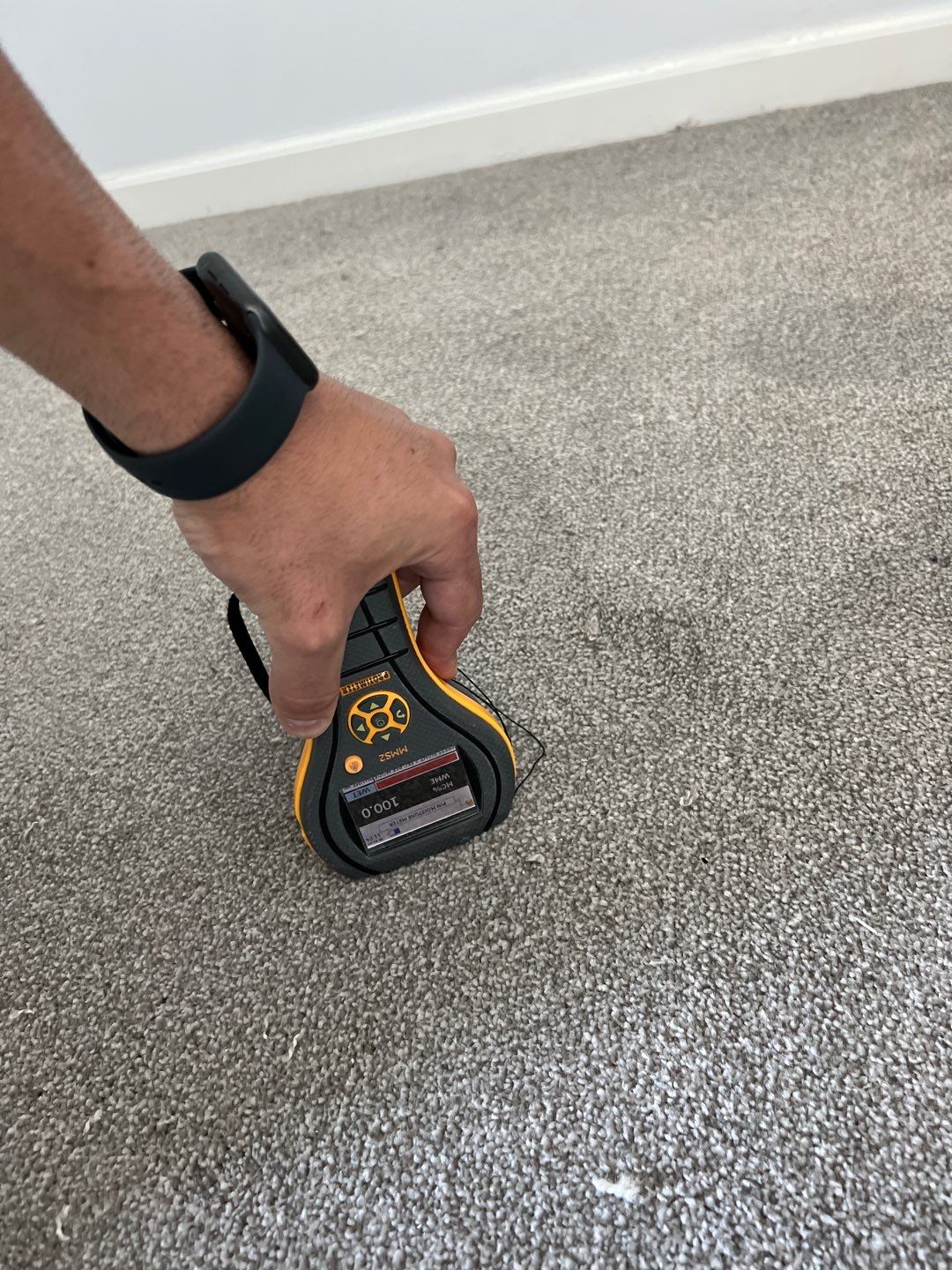 Project in Novi by EzDry Water Mitigation & Property Restoration