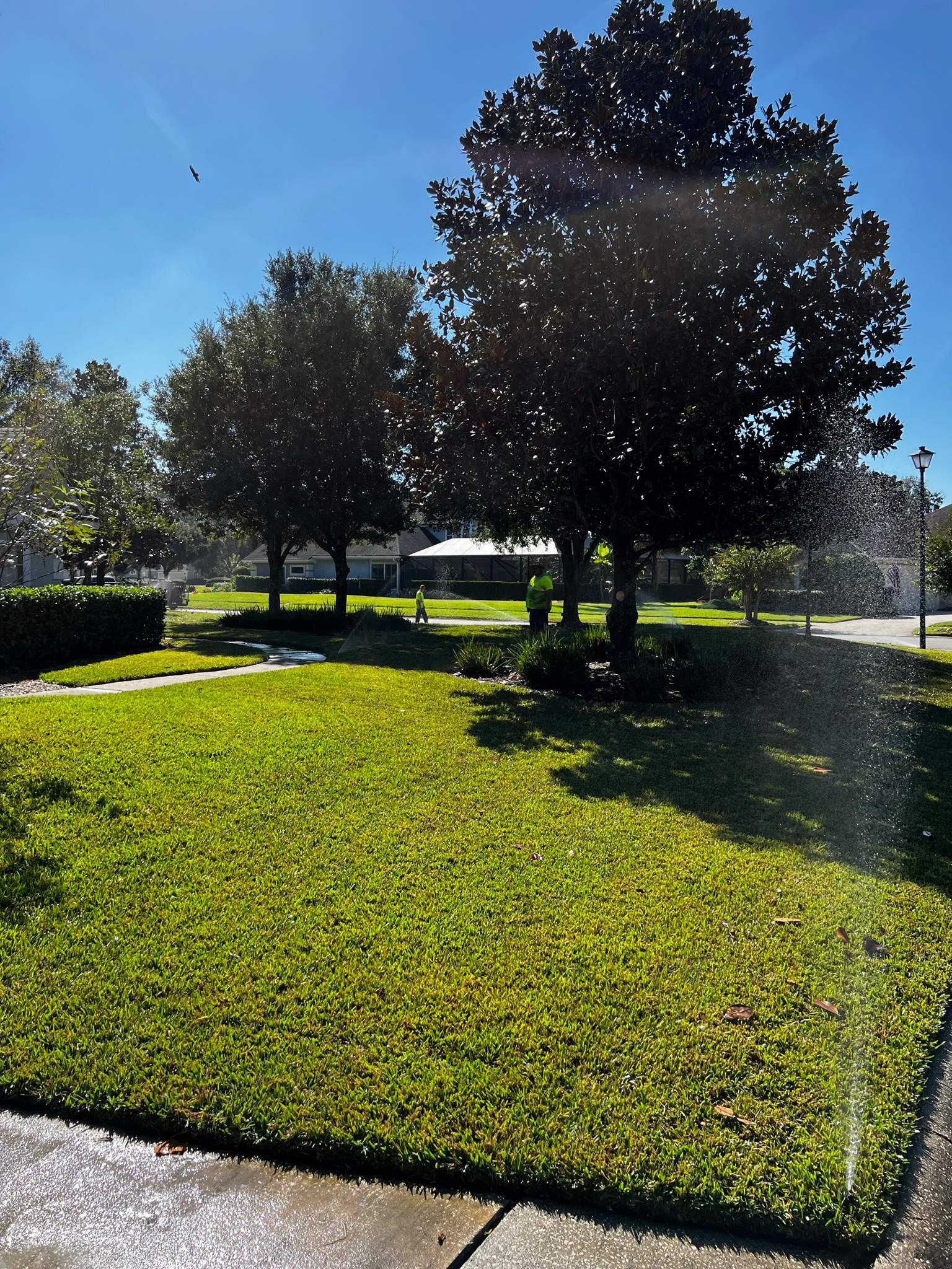 Sod Installation | Deercreek Country Club by ProGreen Services