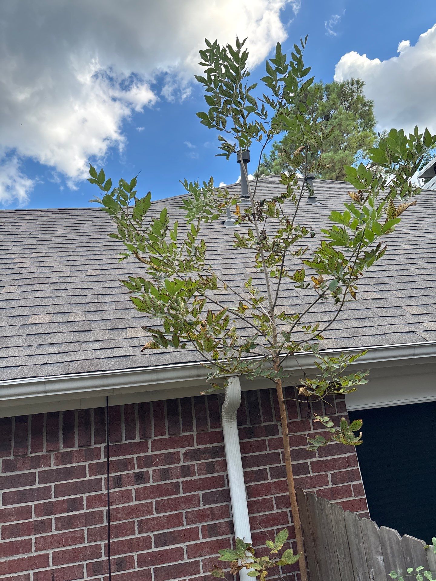 Humble Roof Install by Modern BYLT Roofing & Construction