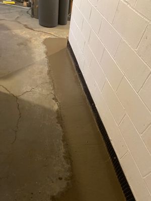 Custom Dual Sump System for Maggie