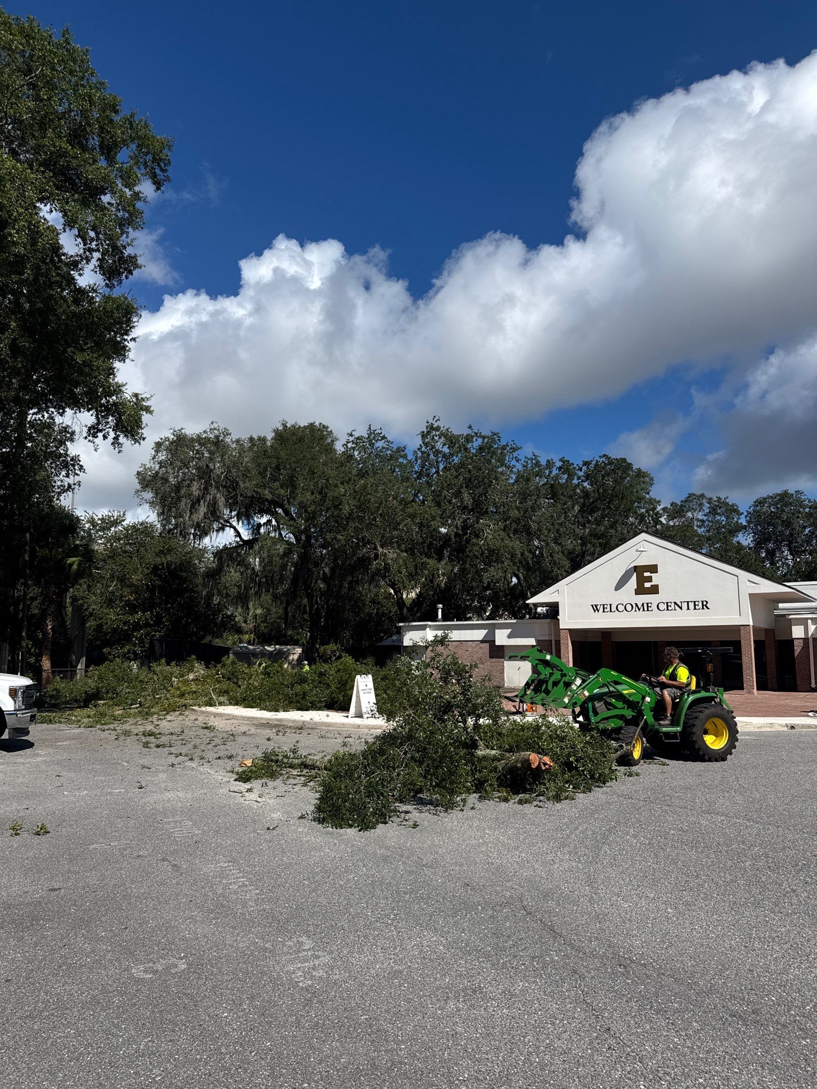 Welcome Center Tree Removal | Episcopal School of Jacksonville by ProGreen Services
