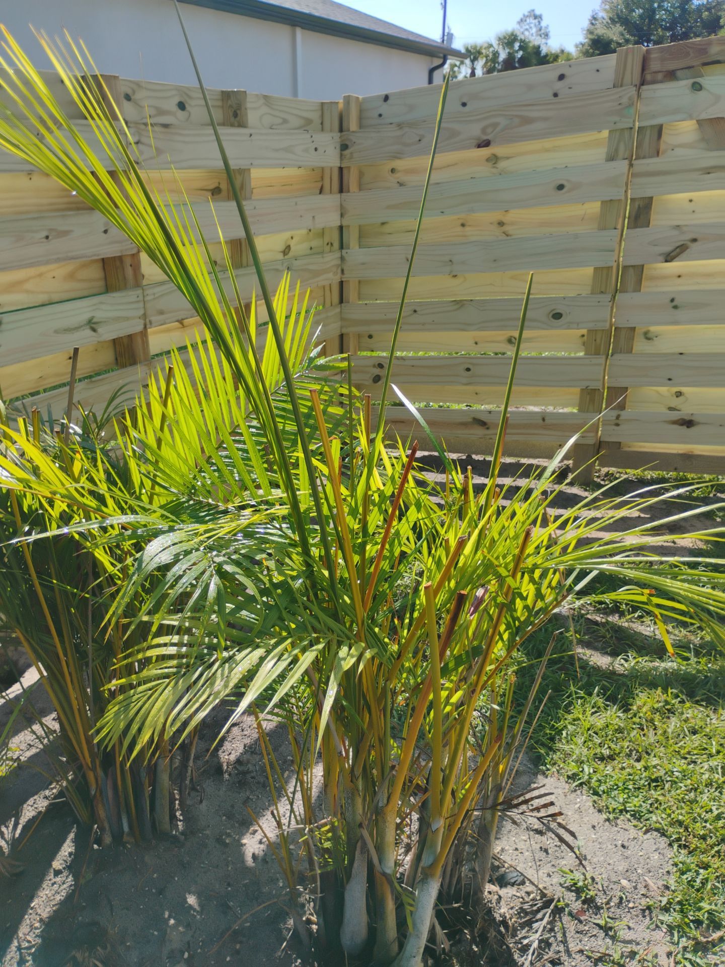 Horizontal Shadowbox Wood in North Port by True Fence LLC