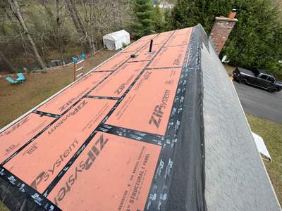 Tree Damage/Roof Repair
