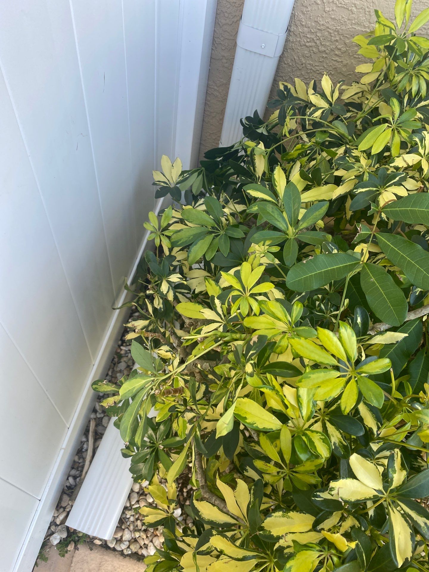 Seamless Gutter Installation Before Rainy Season in Cape Coral FL by Gutter Professors