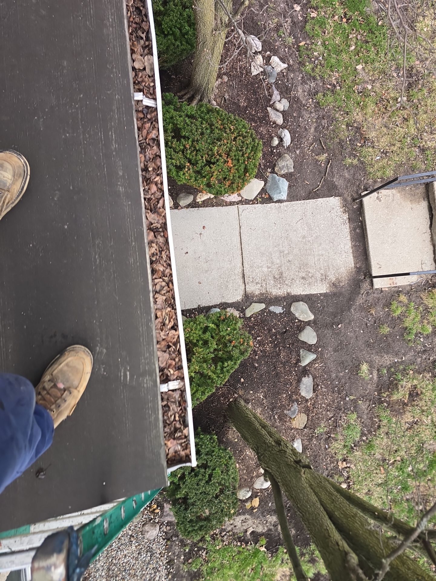 Commercial gutter cleaning Ann Arbor, MI before photo with filled gutters