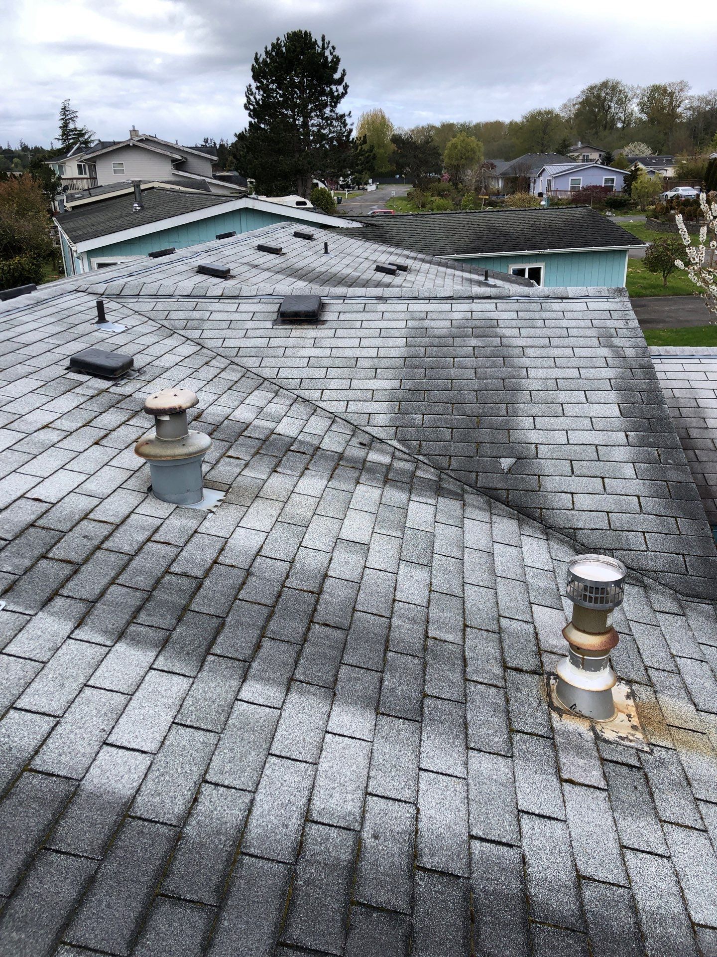 Project in Blaine by Peaks and Valleys Construction