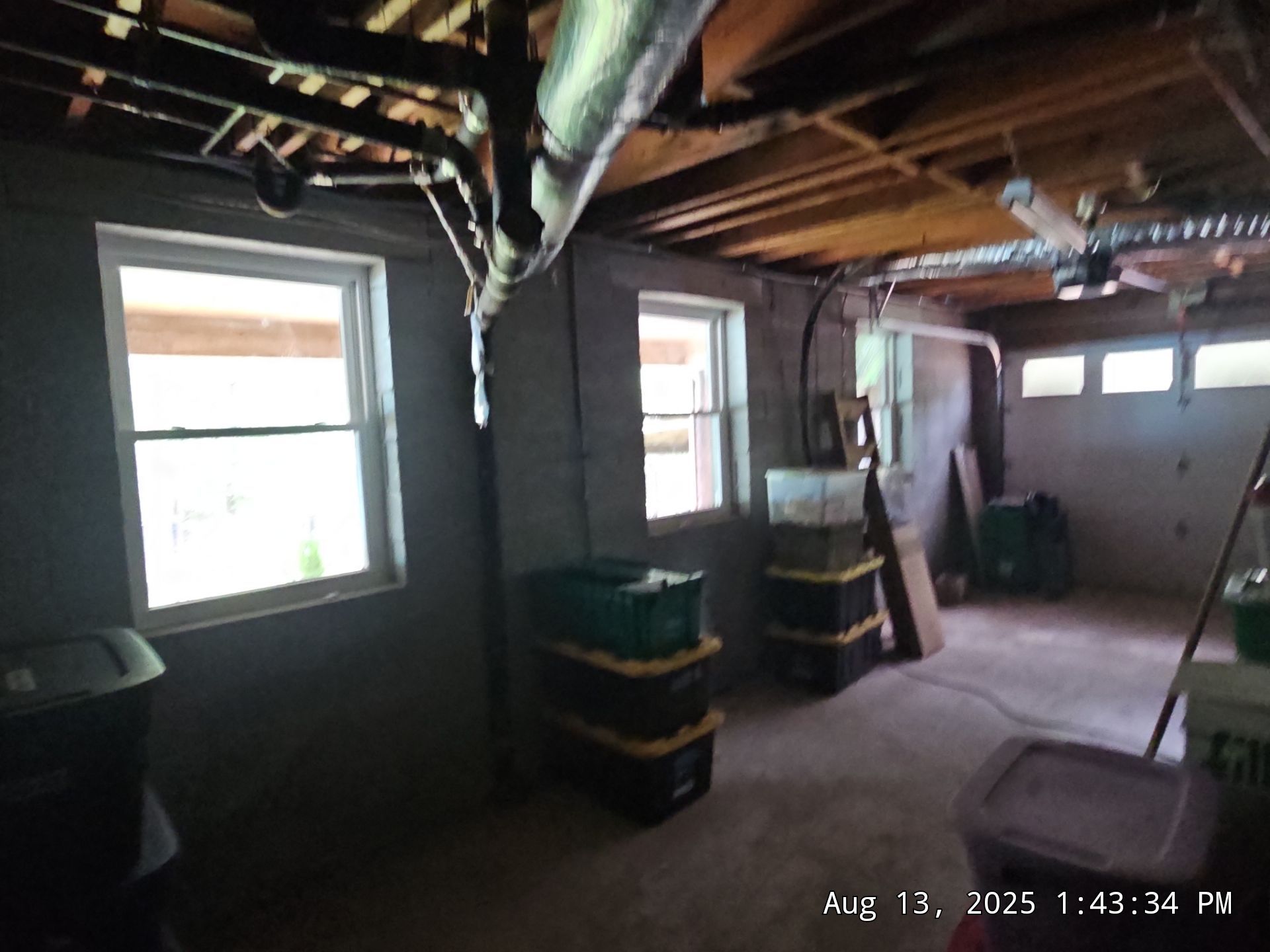 Reed Project in Chelsea by The Window Source