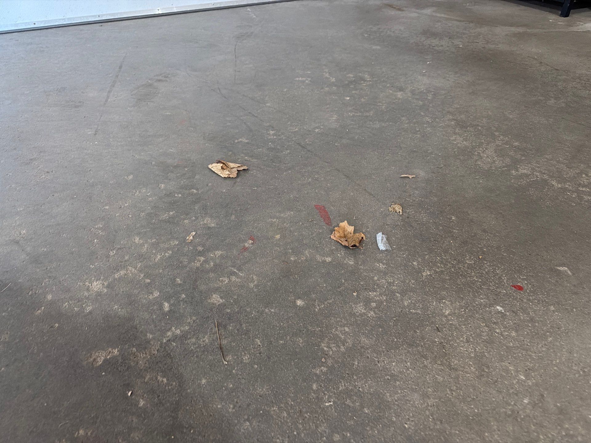 Tidal Wave Flake Garage Floor Installation in Sioux Falls by Select Painting, Coatings & Garage Cabinets