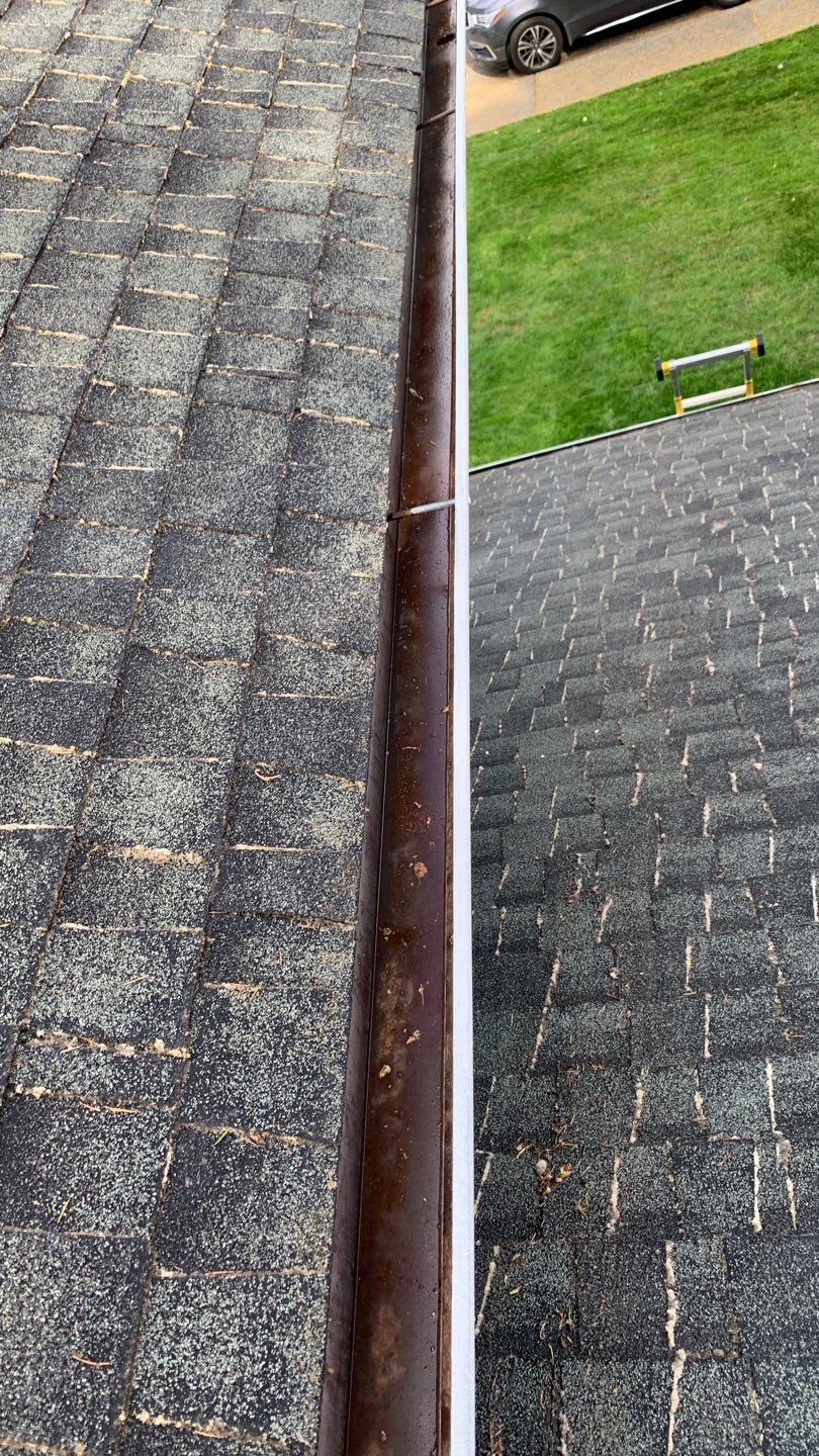 Softwashed in many Years back, and organic regrowth significant by DawnSky LLC