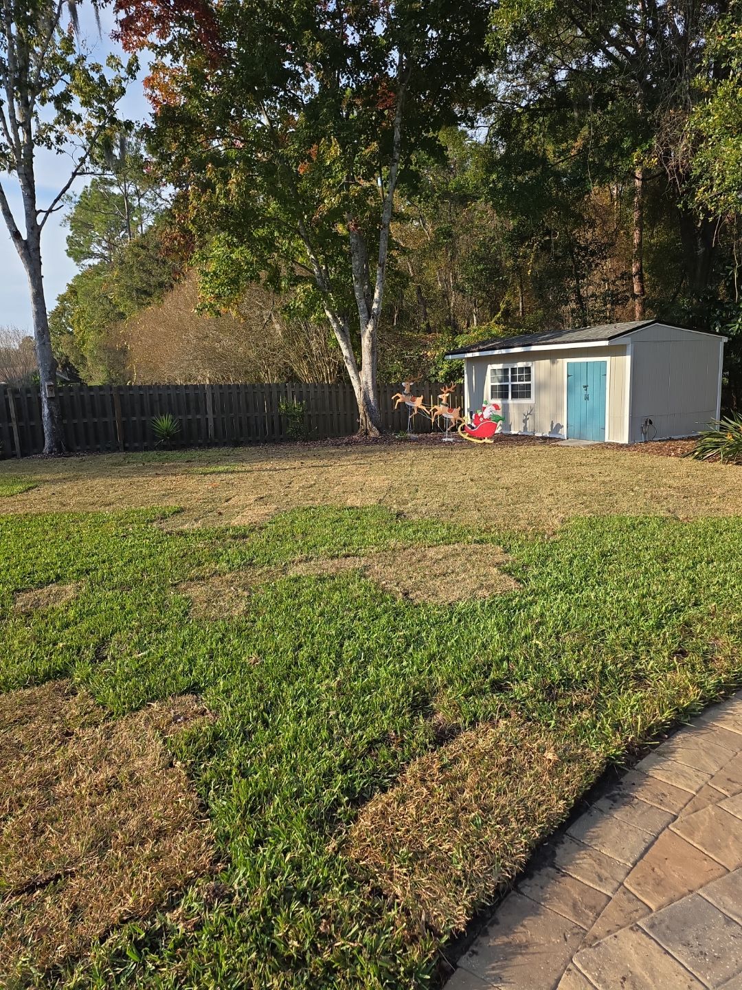Deerwood Resident | Winter Sod Replacement by ProGreen Services