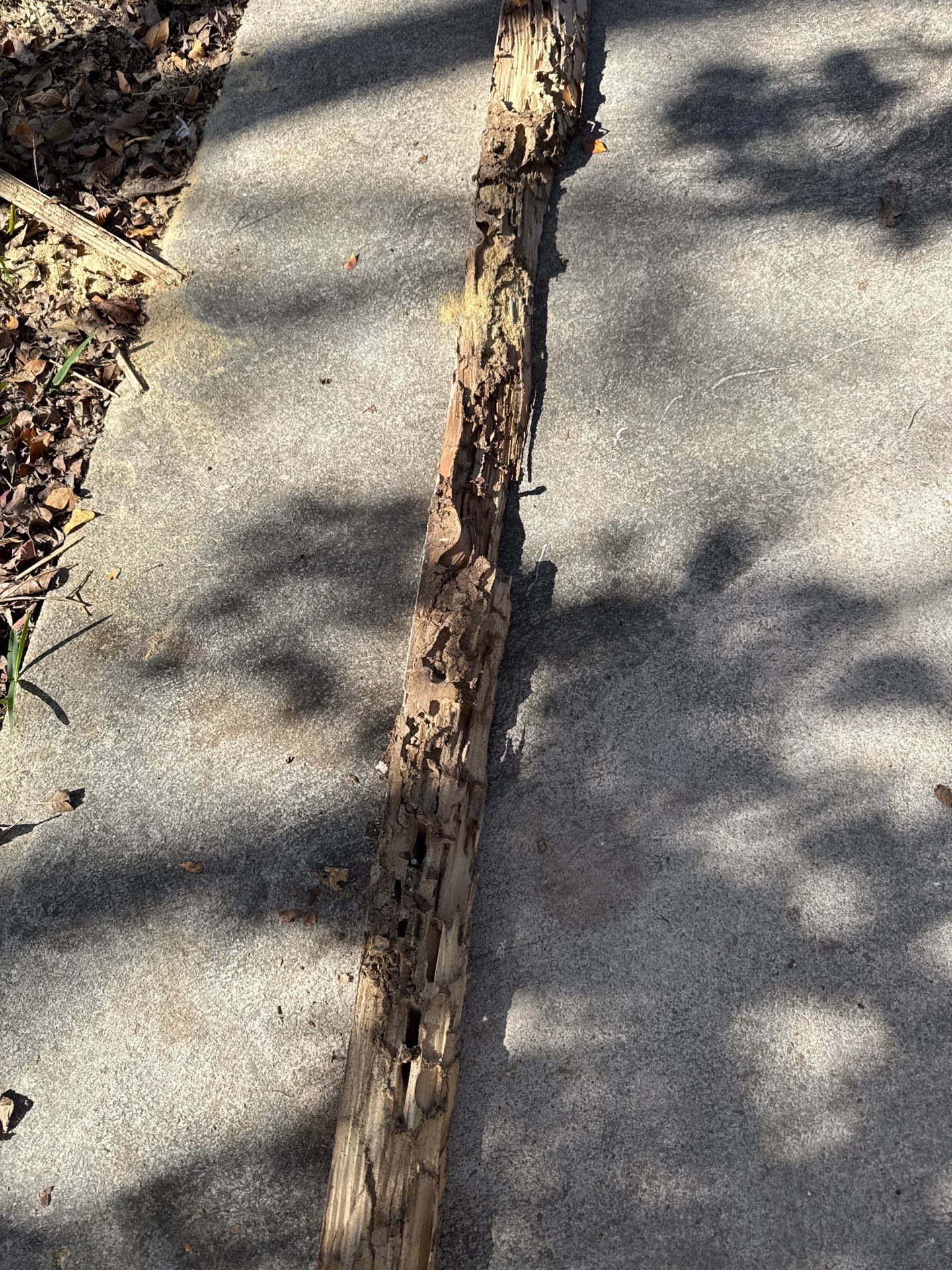 Reininger by Baker's Integrity Restoration and Construction