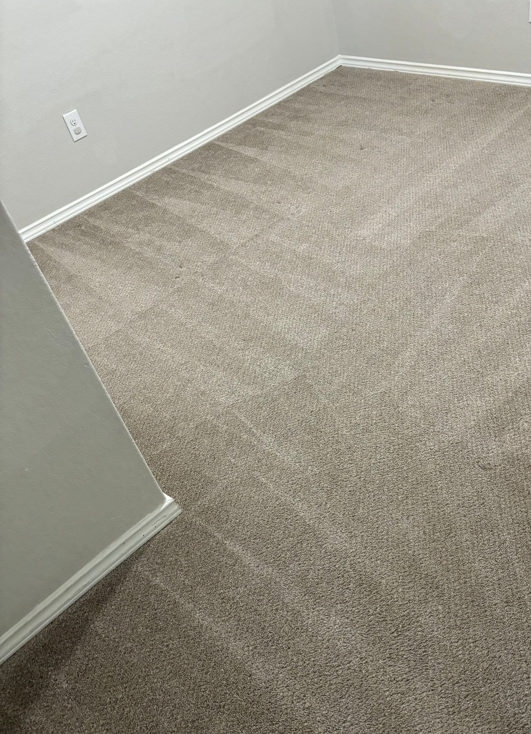 the photo shows carpet cleaning with visible lines indicating recent cleaning and freshened appearance of the fabric