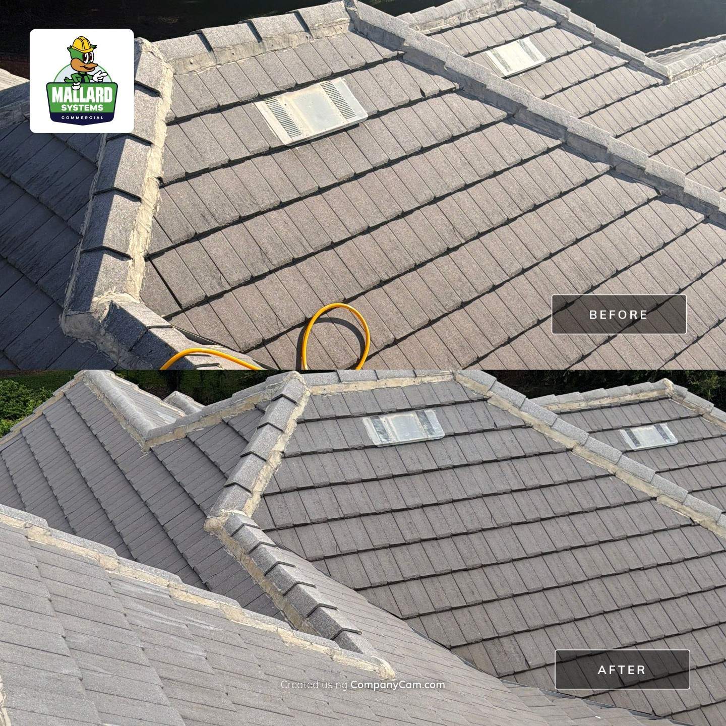 Roof, Exterior, Driveway, Walkways, & Sidewalk Cleaning by Mallard Systems