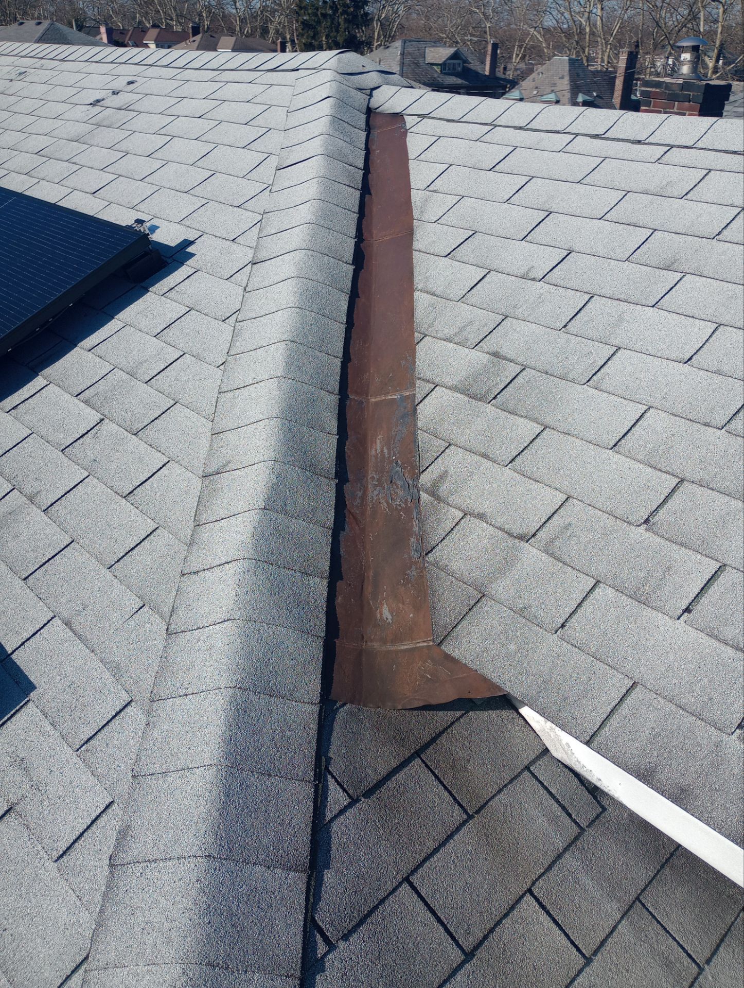 Silver Birch Shingles by Reimagine Roofing