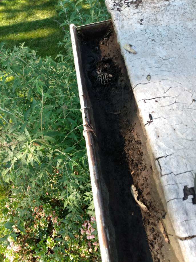 Slate Roof Repair & Gutter Cleaning in Roland Park by Roof Right Inc