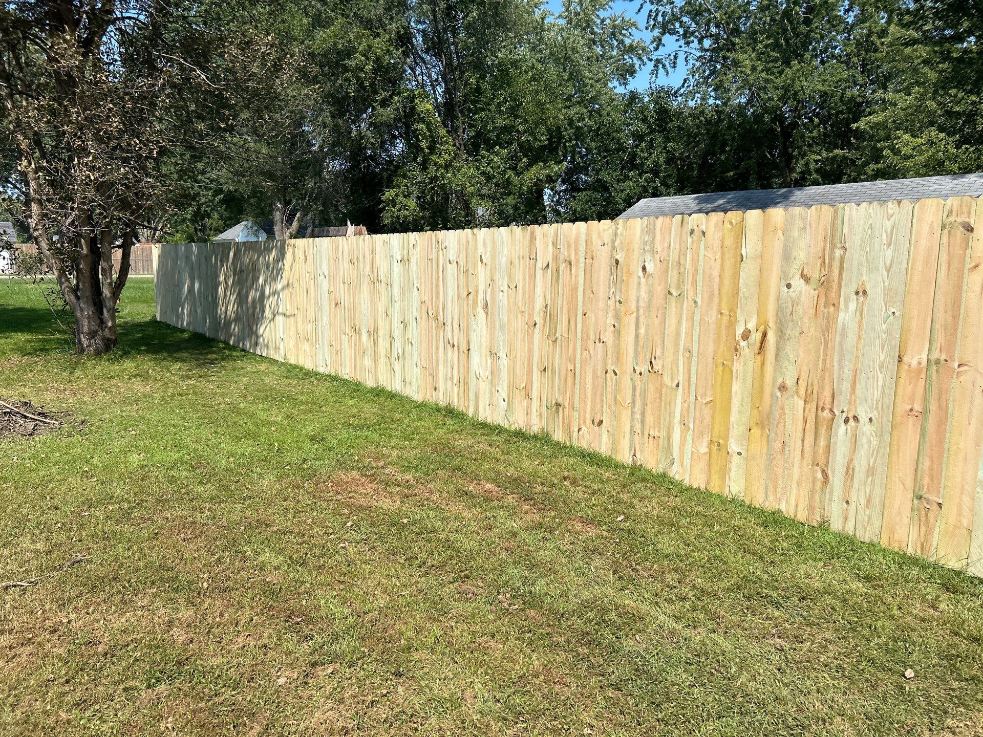 Treated Pine Privacy and Picket Fence Installation in Evansdale by Perfect Picket Fence and Stain