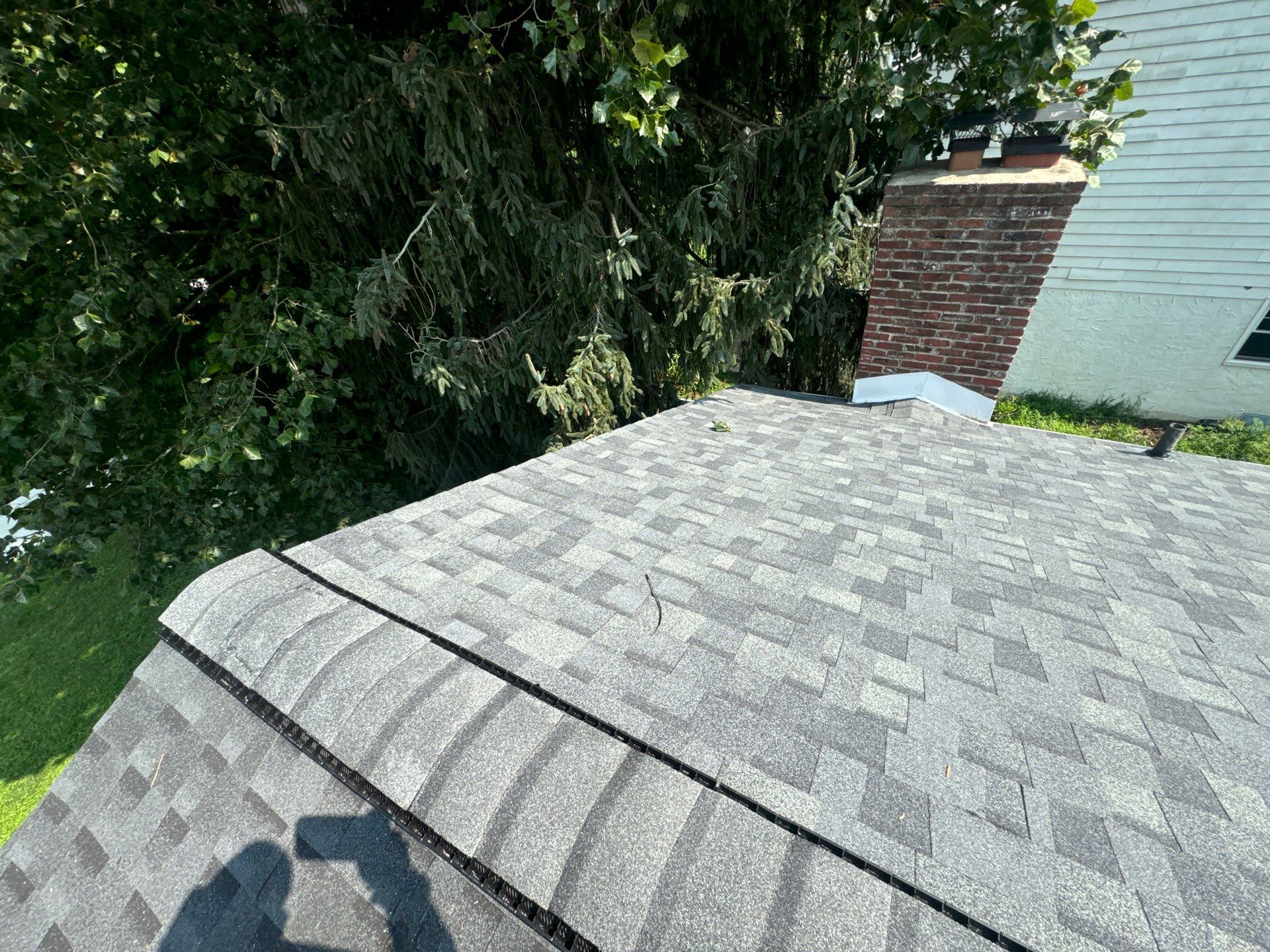 Silver Birch Shingles by Reimagine Roofing