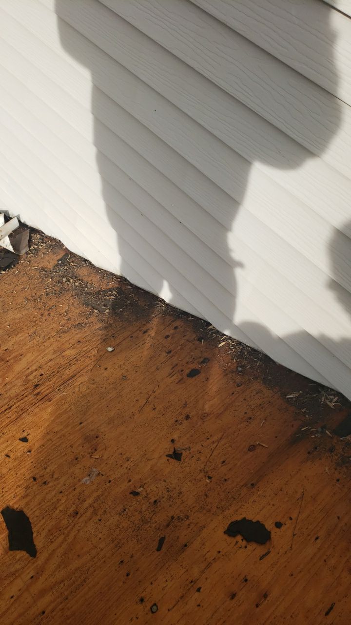 Burke: CertainTeed Landmark Pro Designer Shingles in Max Def Shenandoah by RM Banning, Inc.