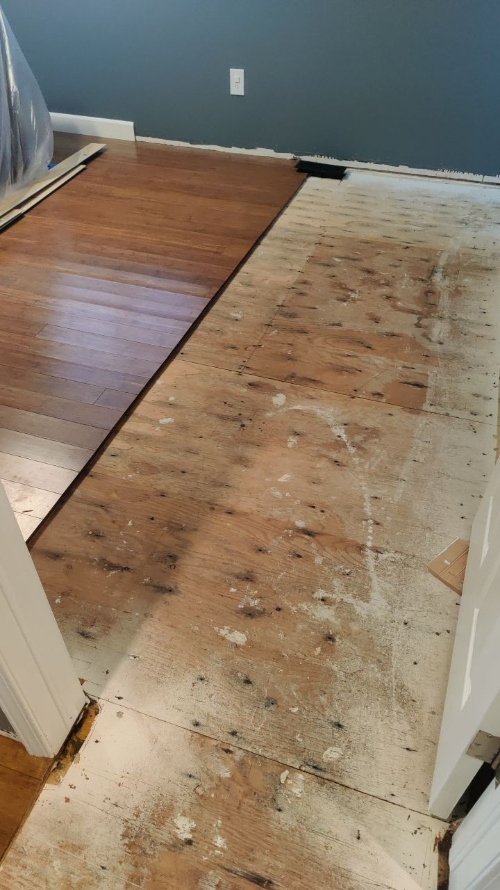 Water Damage  by Accountable Home Services