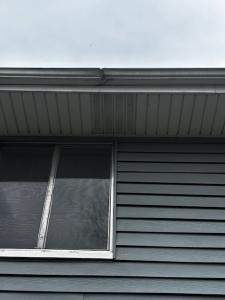Exterior Siding, Caulking & Gutter Repair – Belleville, IL by Legendary Services Company LLC.