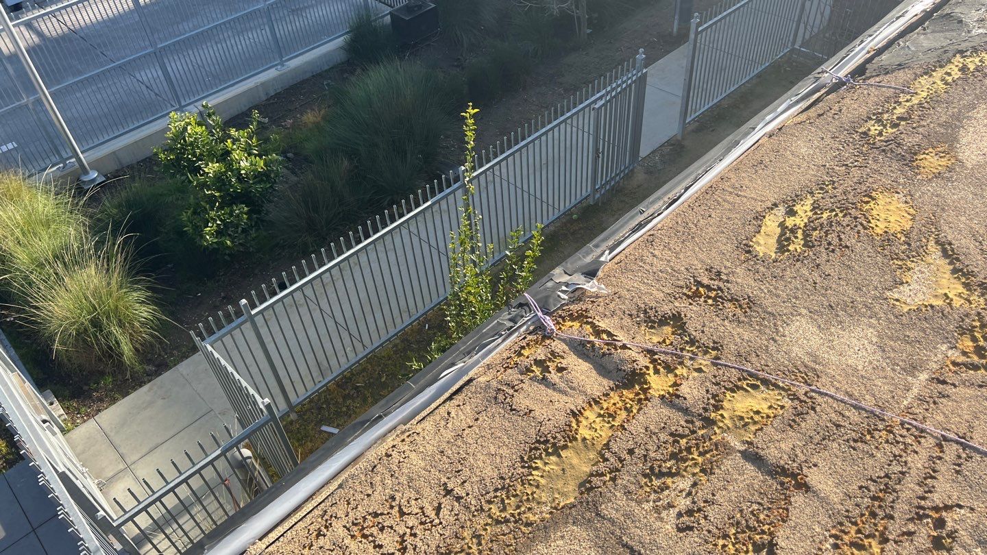 Foam Refurbish using Conklin Benchmark/PUMA XL coatings and spray foam by Straight Edge Roofing Inc