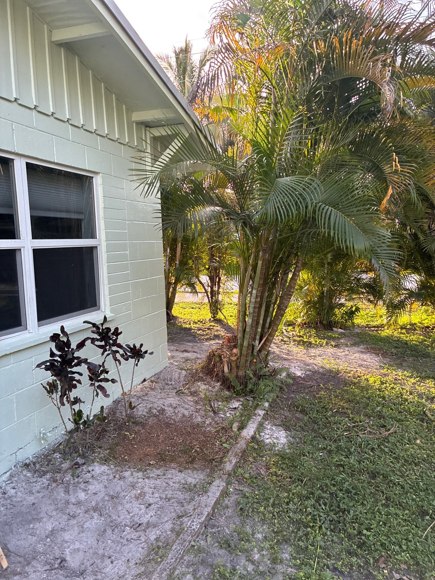 🏡 Pre-Sale Property Cleanup in Old Palm City, FL by Alpha Zeta Enterprises Inc