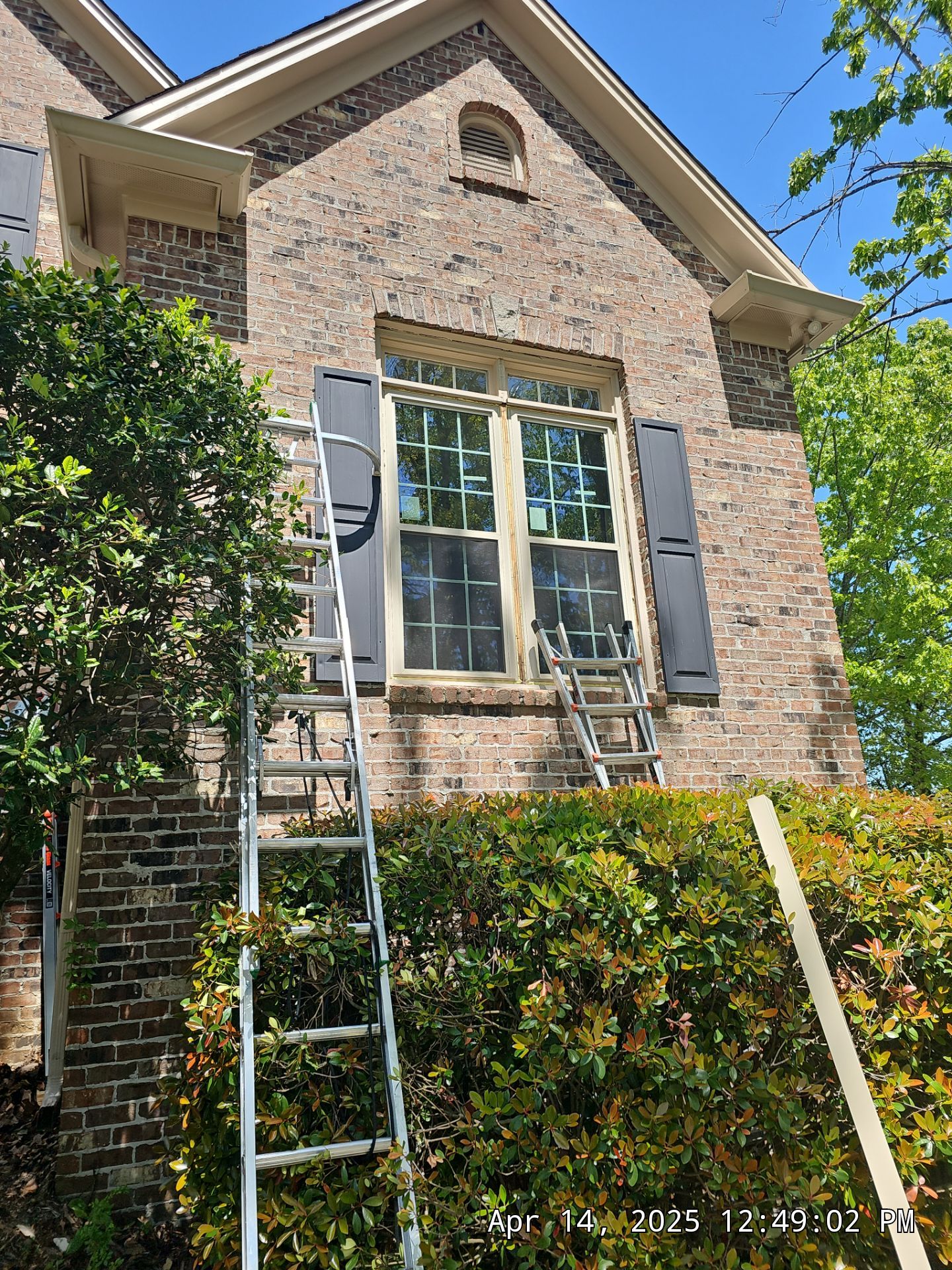 Dew Project in Hoover by The Window Source