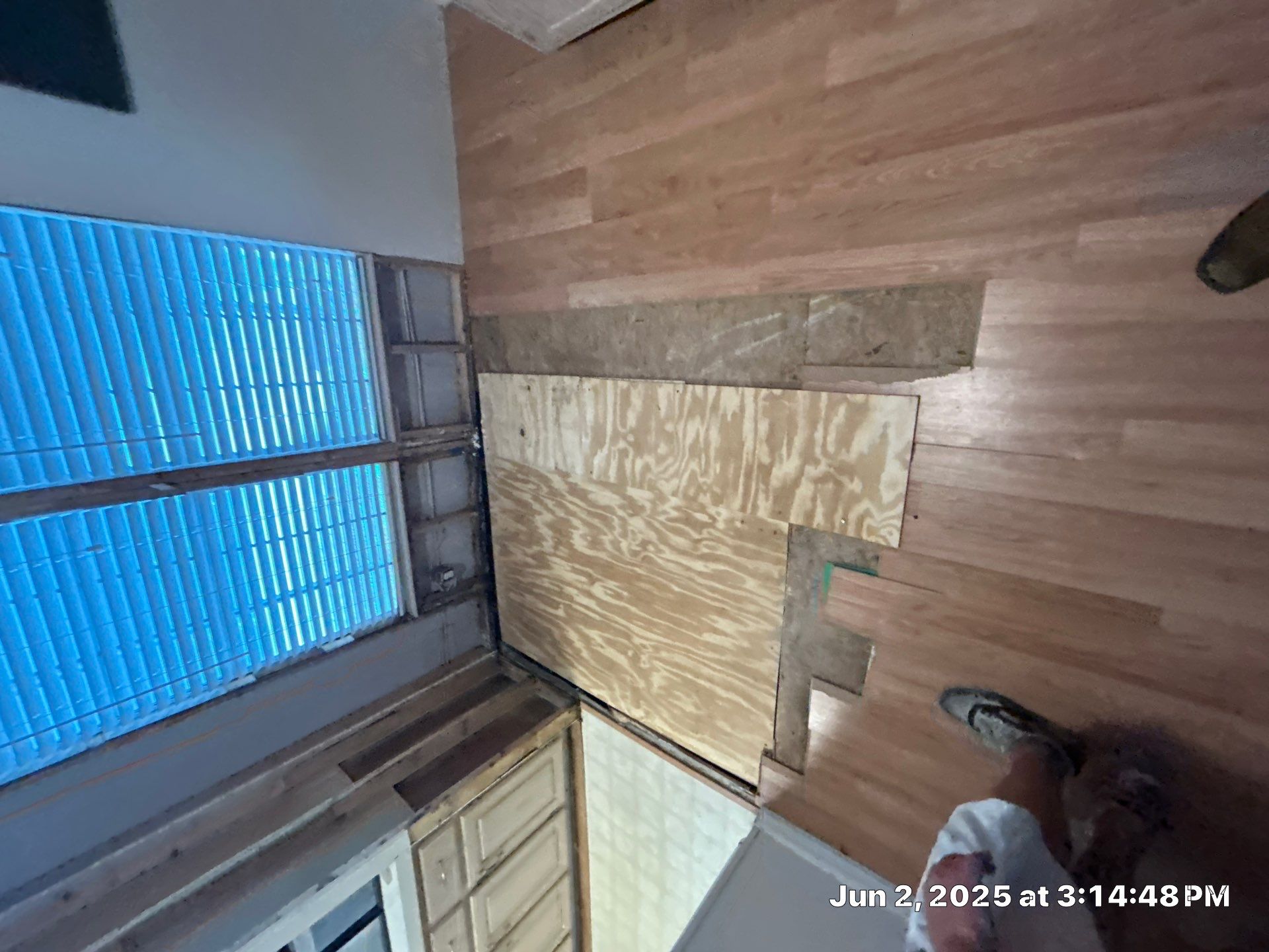 Mold Remediation Palmetto by Ampm Restoration Services 