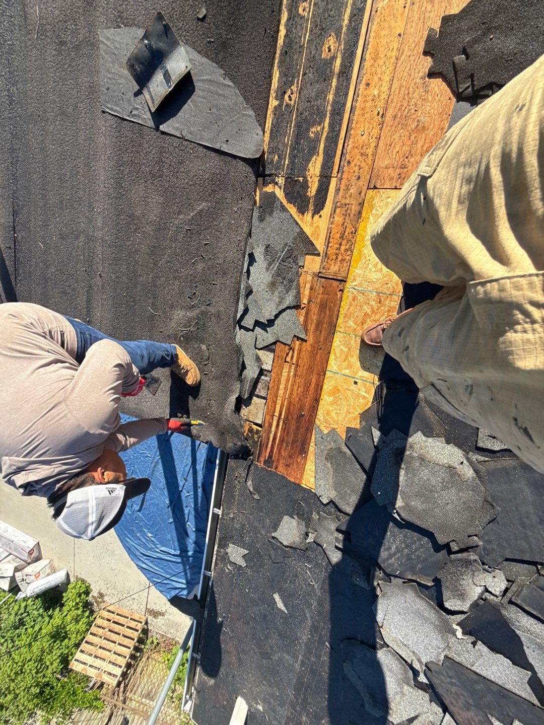 Roof Replacement using Owens Corning Tru Definitions by 180 Contractors