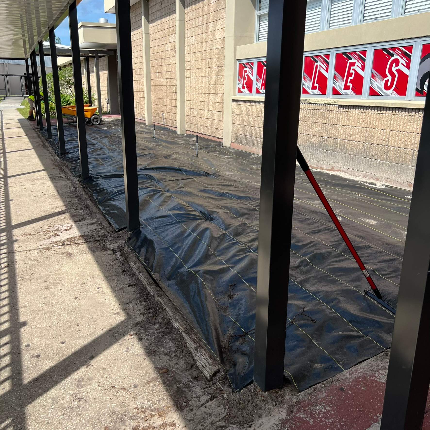 Landscape Install | Wilkinson JHS by ProGreen Services