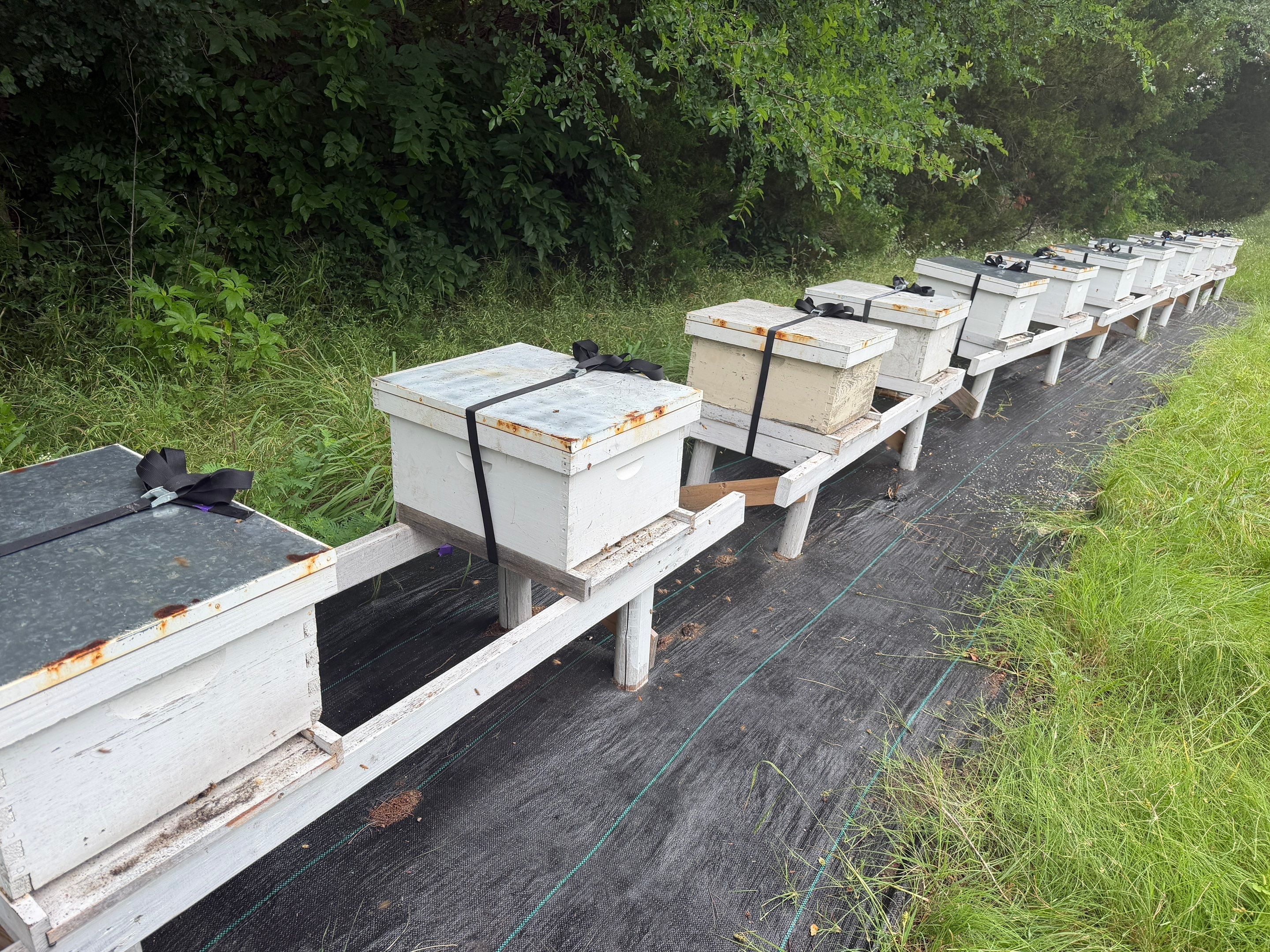 Rustic Grace Apiary in Van Alstyne, TX by Rockwall Honey Bee Company