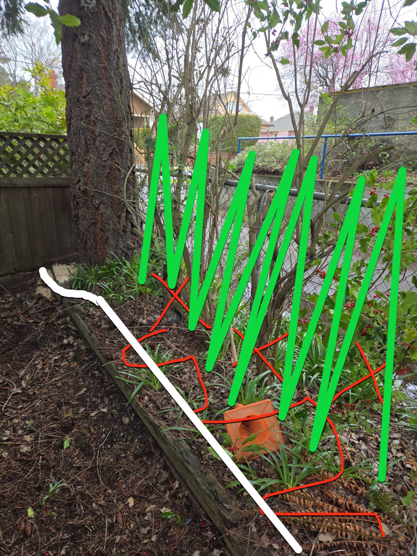 Complete backyard transformation by Habanero Garden and Exterior Care