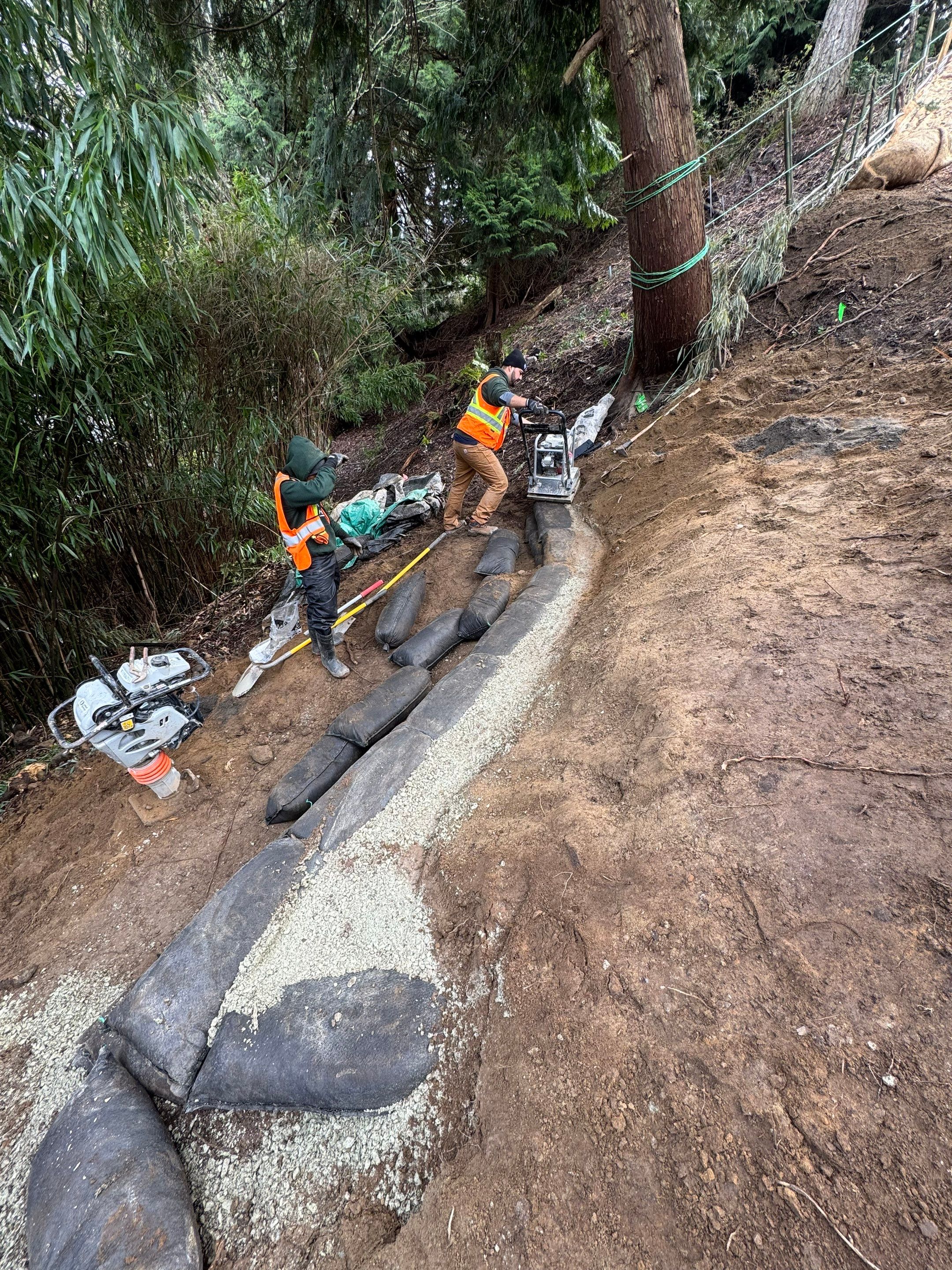 Georgia Park Terrace — Living Slope Transformation by Habanero Landscape Solutions