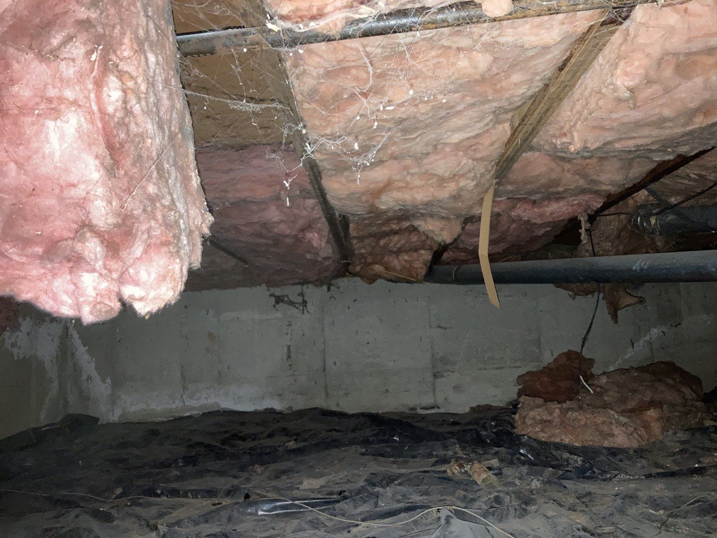 Crawl Space Cleanup  by Accountable Home Services