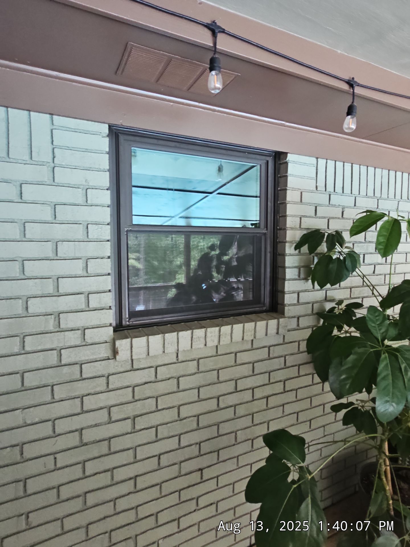 Reed Project in Chelsea by The Window Source