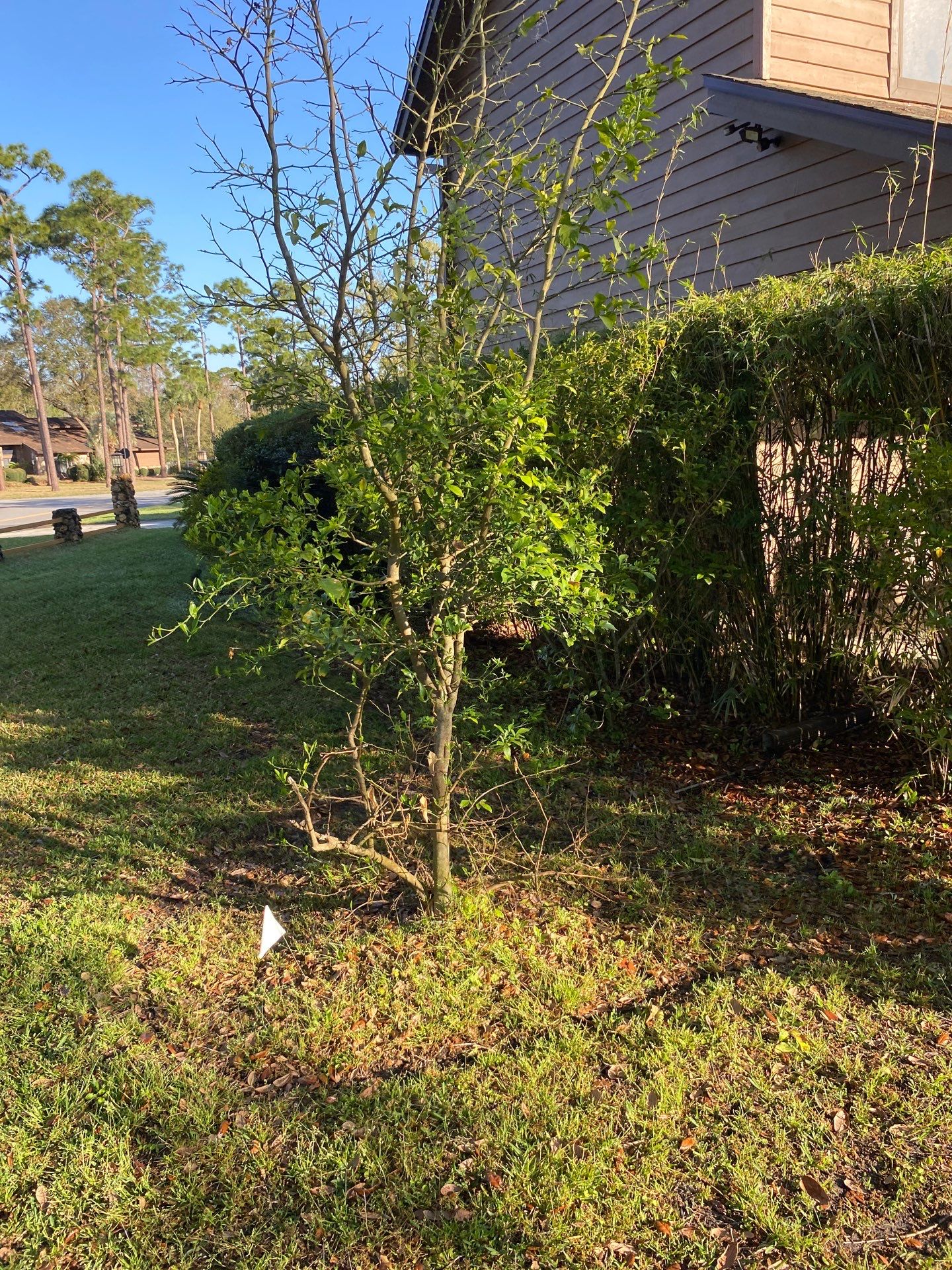 Deerwood Resident | Landscaping by ProGreen Services