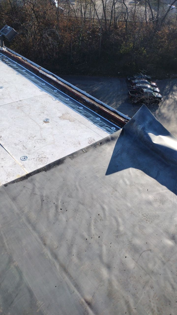 Commercial flat roof parma by Absolute Roofing and Construction