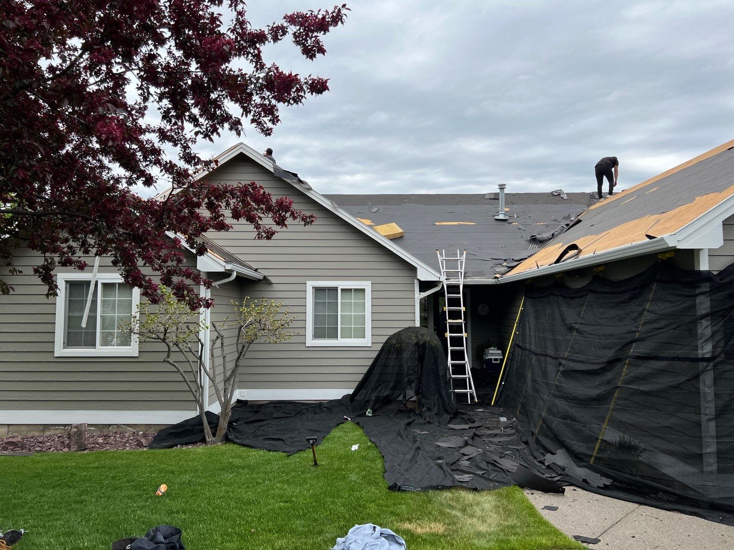 GAF Timberline HDZ - Charcoal by Montana Roofing Solutions