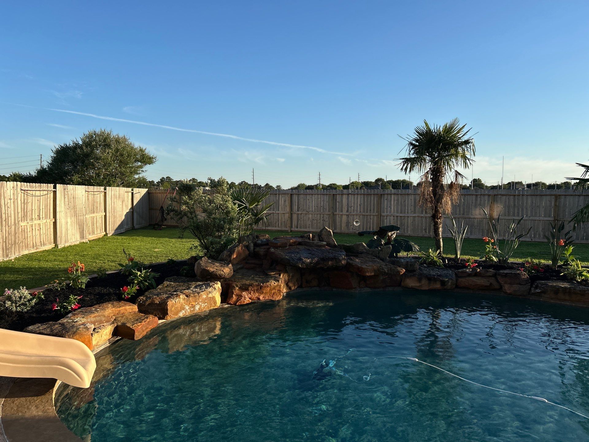 🌿 Larry Caudillo’s Poolside Landscape Revamp by Texas Urban Elements